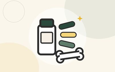 Illustration of a supplement bottle and capsules lined up beside a bone with a gold sparkle