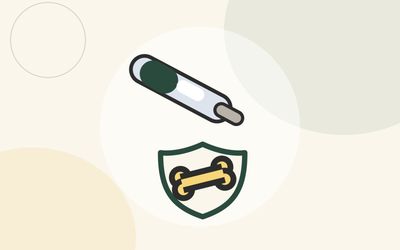Illustration of a GLP-1 injection pen beside a bone protected by a shield