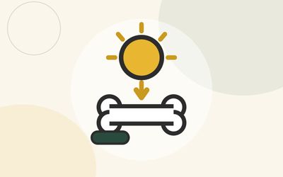 Illustration of a sun with rays shining down on a bone beside a vitamin D capsule